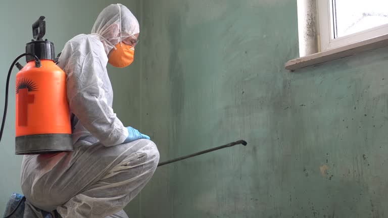 Why You Should Choose Our Mold Remediation Services in Hapeville, GA